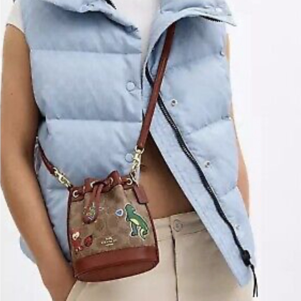 Coach mini bucket bag